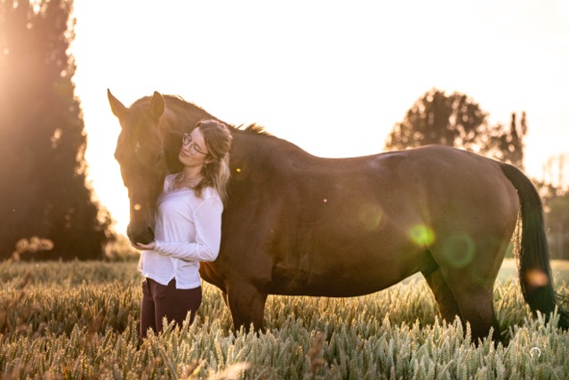 0A8A1176 Modifier Moyenne